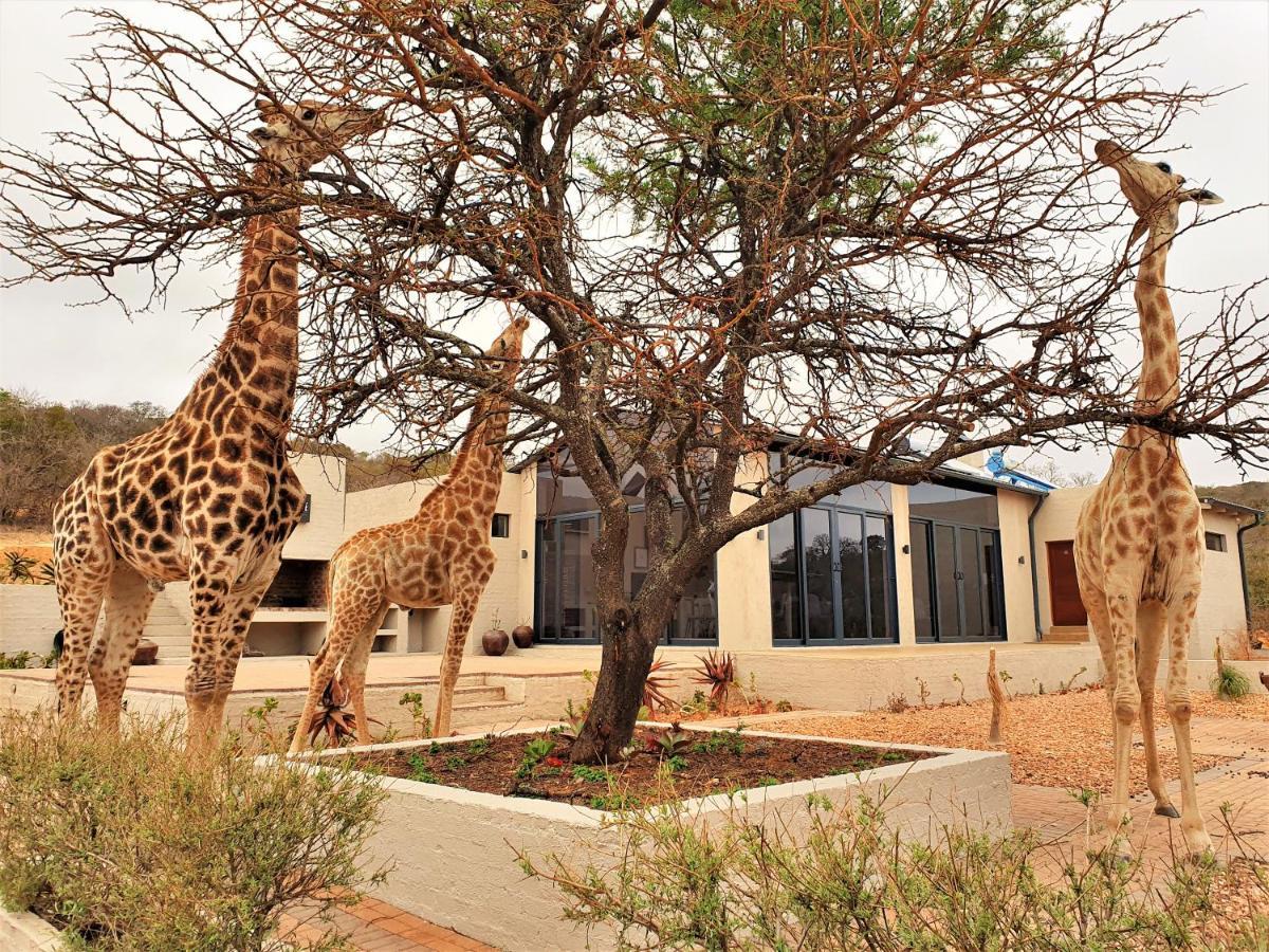 Graceland Eco Retreat Magoebaskloof Bagian luar foto