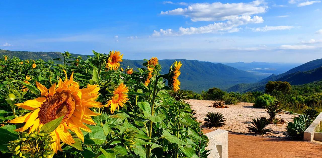 Graceland Eco Retreat Magoebaskloof Bagian luar foto