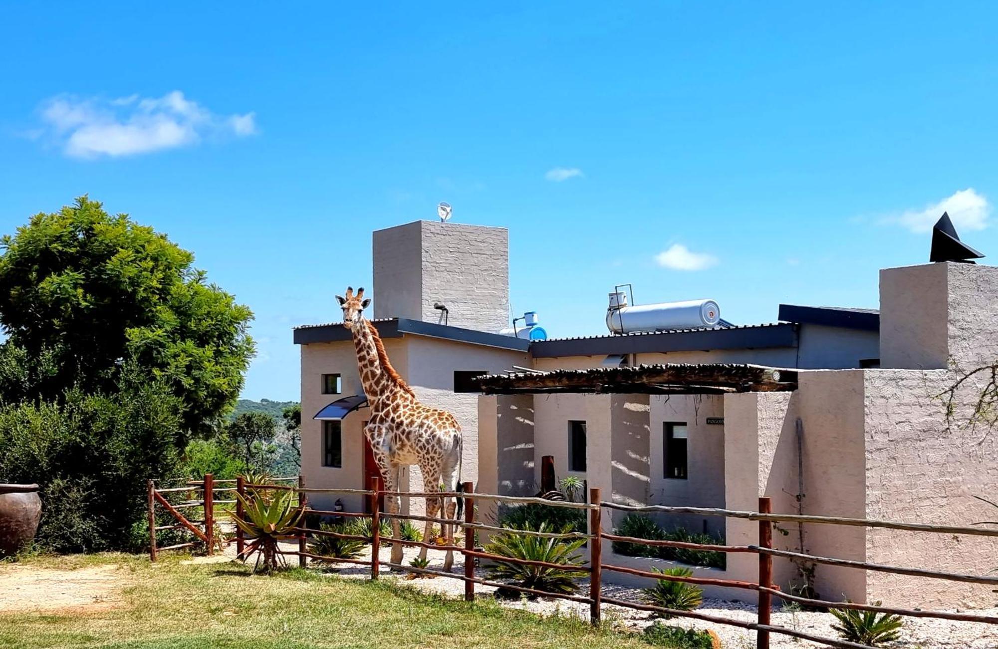 Graceland Eco Retreat Magoebaskloof Bagian luar foto