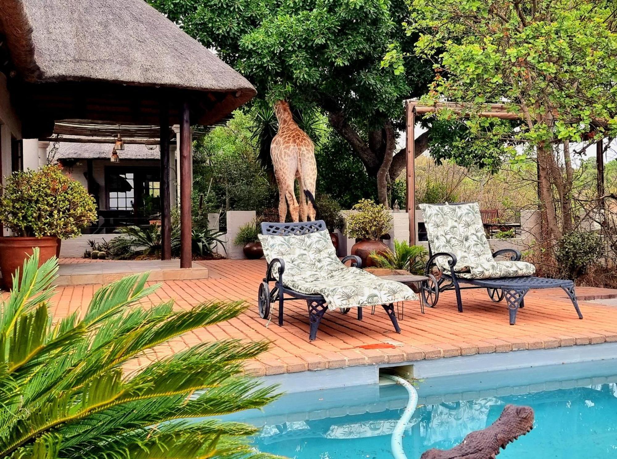 Graceland Eco Retreat Magoebaskloof Bagian luar foto